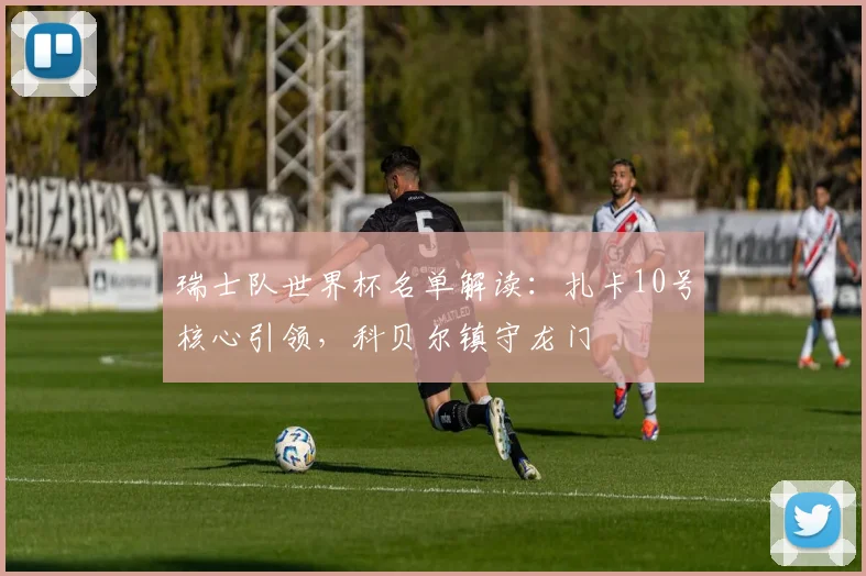 瑞士队世界杯名单解读：扎卡10号核心引领，科贝尔镇守龙门