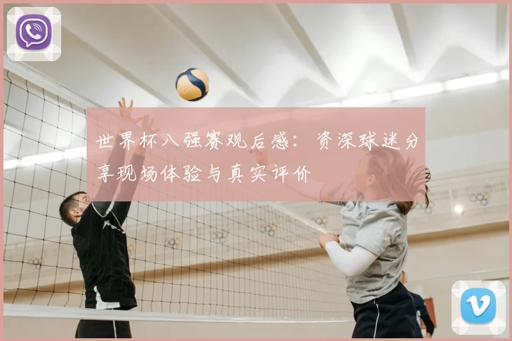 世界杯八强赛观后感：资深球迷分享现场体验与真实评价